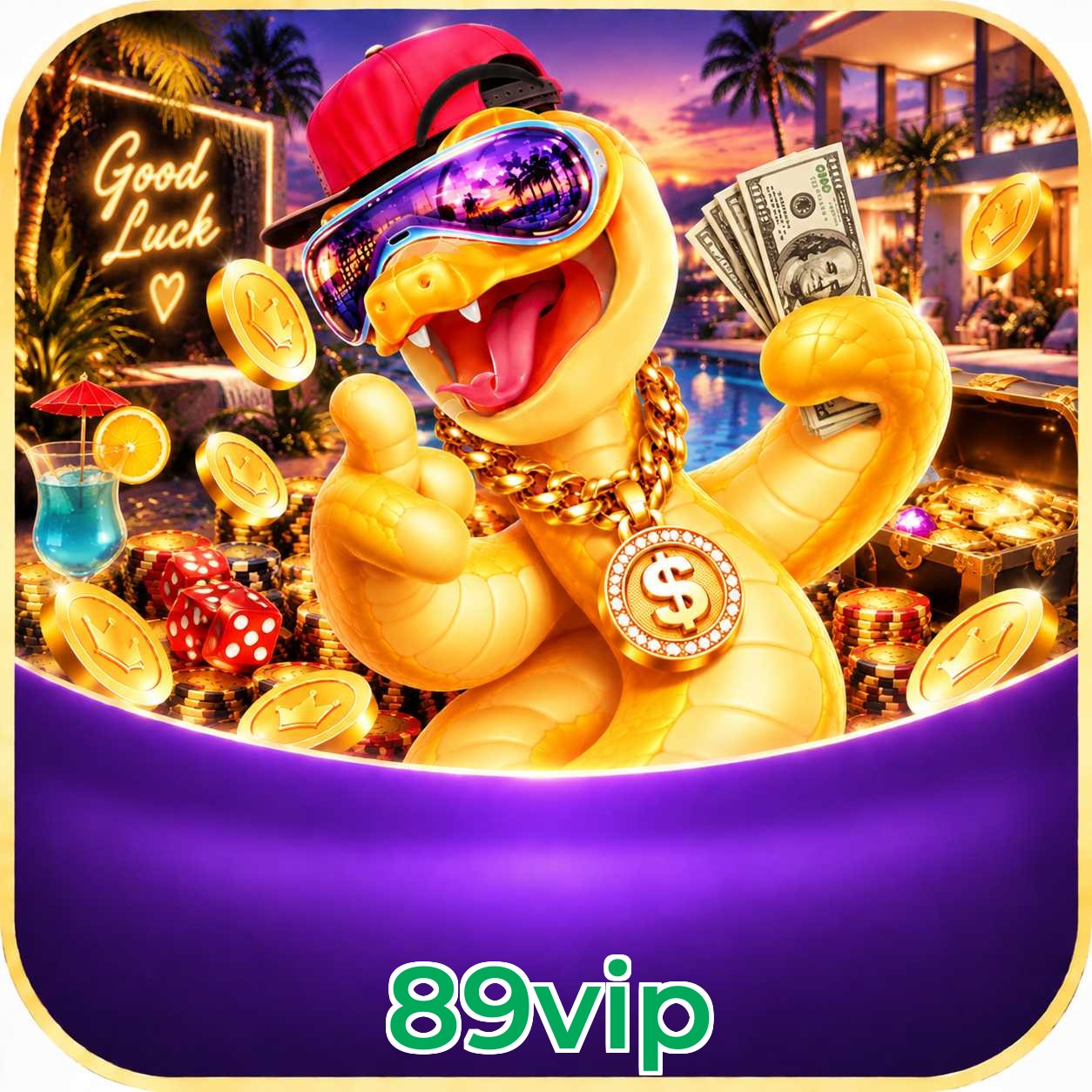 89vip Version History